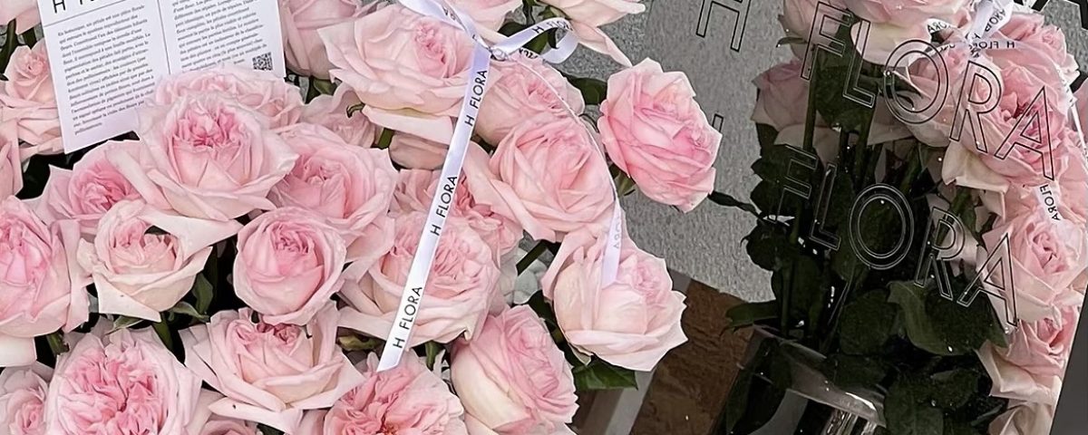 Hello邵先森 的封面